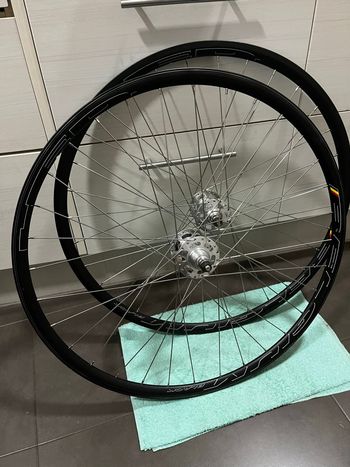 HED., Hed Belgium Black pista