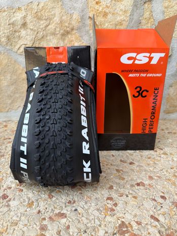 Used cst Jack Rabbit 29x2.35 Tires bike — image 4 of 5