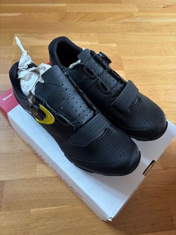 Bontrager, Foray