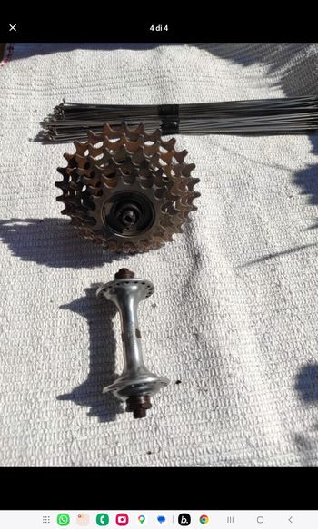 Used Campagnolo mozzi bike
