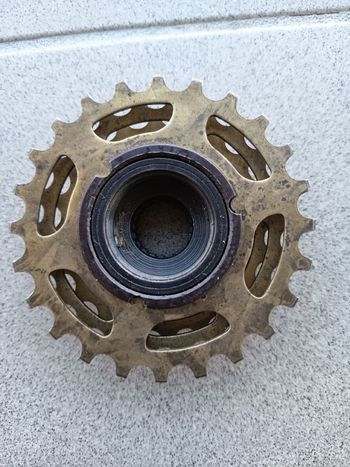Used Regina Oro 6-speed Freewheel 14-24T bike — image 2 of 3
