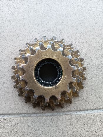 Used Regina Oro 6-speed Freewheel 14-24T bike — image 1 of 3