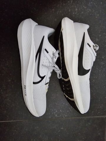 Used Nike Pegasus 40 2023 Running Shoes