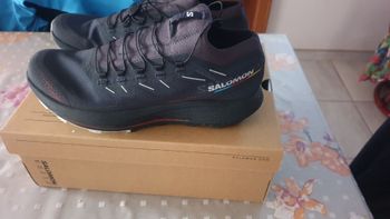 Salomon, pulsar trail pro 2