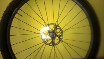 Used Dt Swiss CSW MA 3.9 29" Wheelset 2015 bike — image 16 of 16