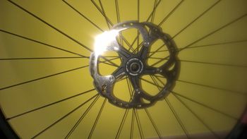 Used Dt Swiss CSW MA 3.9 29" Wheelset 2015 bike — image 11 of 16