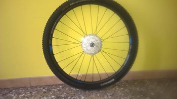 Used Dt Swiss CSW MA 3.9 29" Wheelset 2015 bike — image 2 of 16
