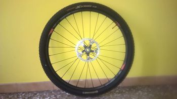 Used Dt Swiss CSW MA 3.9 29" Wheelset 2015 bike — image 10 of 16