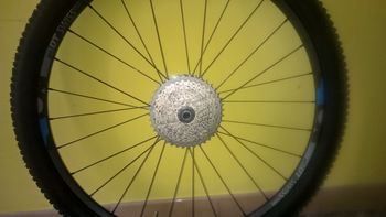 Used Dt Swiss CSW MA 3.9 29" Wheelset 2015 bike