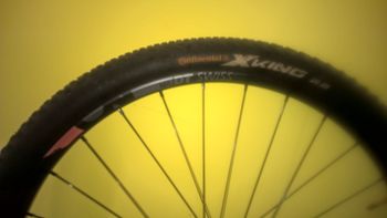 Used Dt Swiss CSW MA 3.9 29" Wheelset 2015 bike — image 14 of 16
