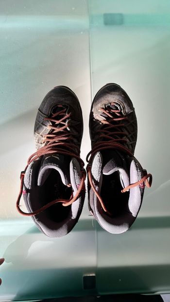salewa, Ms Wild Hiker Mid Gore-Tex