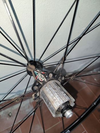 Used Spada Breva bike — image 4 of 6