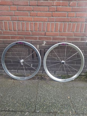 Campagnolo, Shamal Wheelset