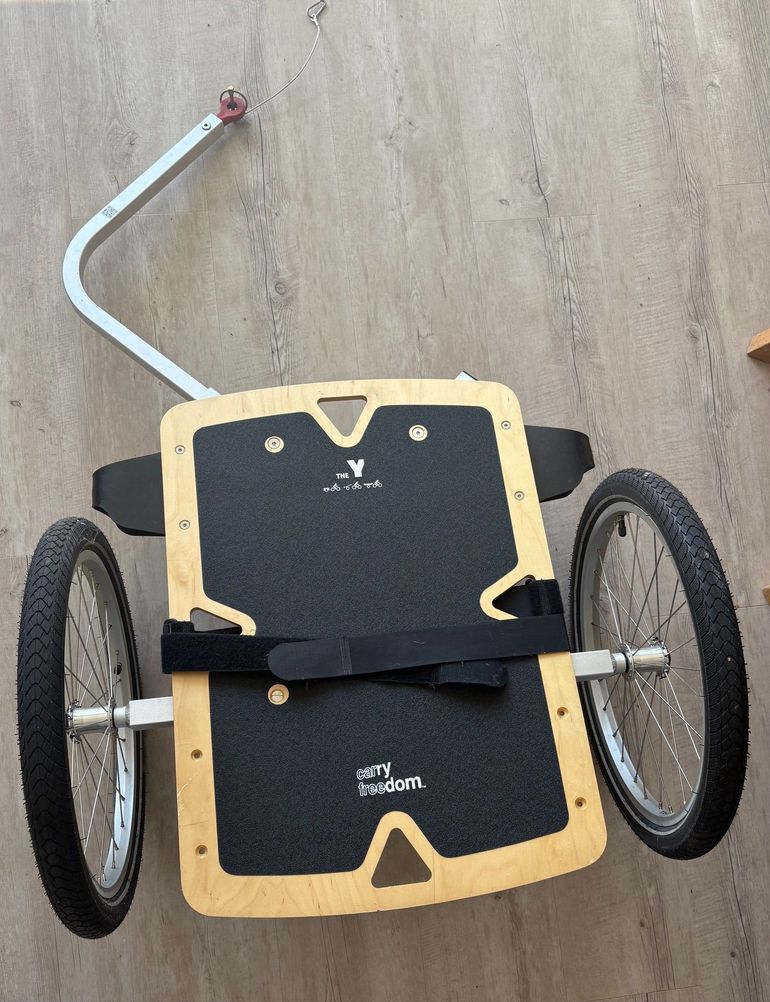 Y-frame Large 2022