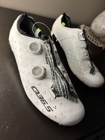 Used Q36.5 UNIQUE ROAD WHITE 2025 bike