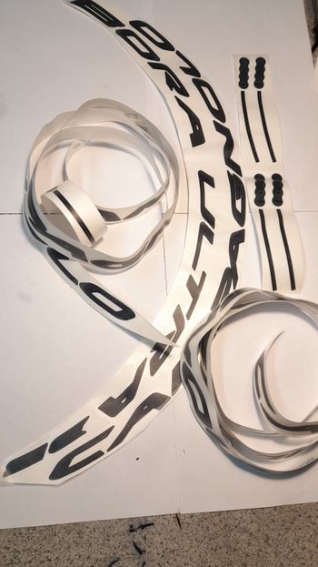 Campagnolo, Adesivi per ruote