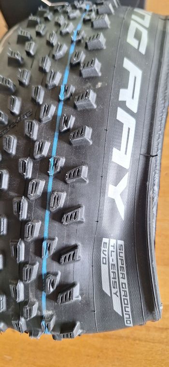 Used Schwalbe Racing Ray 29x2.25 2025 bike — image 1 of 3