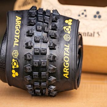 Used Continental Argotal 29” DH Super Soft tubeless 2024 Tyres & Tubes