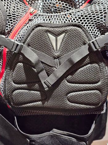 Used Dainese Body Armour bike — image 3 of 11