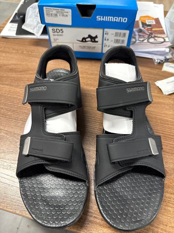 Used Shimano SD5 2025 Cycling Shoes