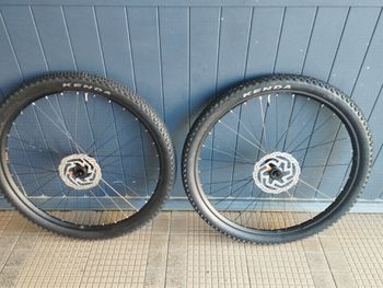 Vielo, 29 Boost microspline 12vs