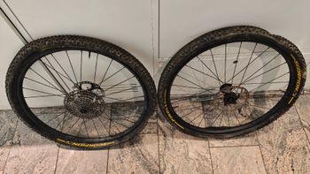 Bontrager, Line Comp 29 Zoll Laufradsatz