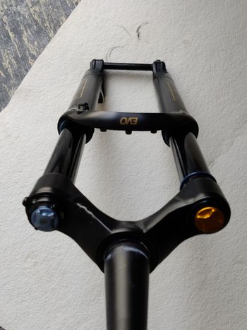 Öhlins, RXF 36 evo 29"