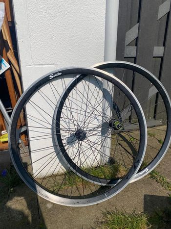 Used Scribe Duty-D Alloy Wheelset 2023 bike — image 4 of 4