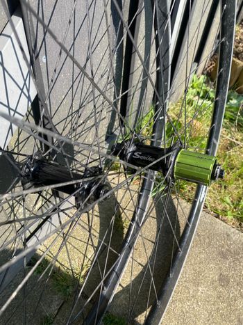 Used Scribe Duty-D Alloy Wheelset 2023 bike — image 2 of 4