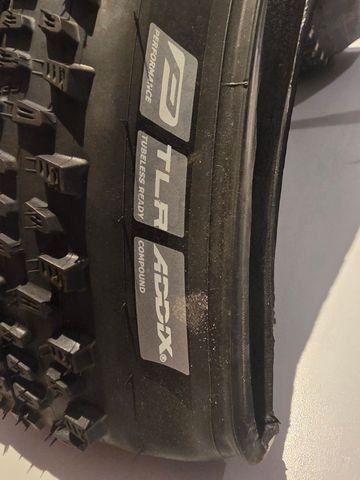 Gebrauchtes Schwalbe Racing Ralph 2023 bike — Bild 2 von 3