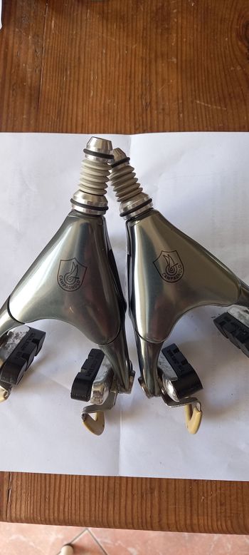 Campagnolo, Delta Brakes Rare Century Finish