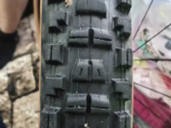 Used Maxxis Tyers Set Assegai + DHR II 29, 27.5 2024 bike — image 1 of 7