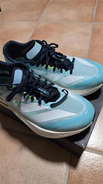 Adidas, Adizero Boston 13