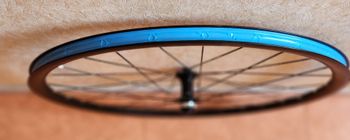 Used ALLOY (ORBEA) ALLOY 28RL Tubeless disques 2026 bike — image 2 of 4