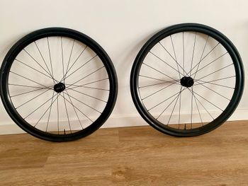 Bontrager, Paradigm SL 6-Bolt Disc 24H 700c Road Wheel