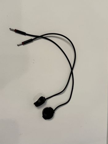 Sram, eTap AXS Blip Shift Buttons