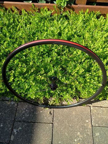 Merida, Expert 19mm Wheelset