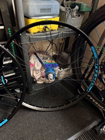 Hope, pro 5 (blue) with 35fortus rims
