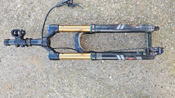 Fox, 36 Grip2 factory