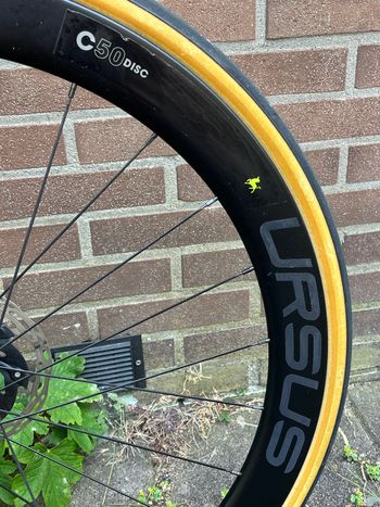 Used United Ursus C50 2022 bike — image 5 of 11