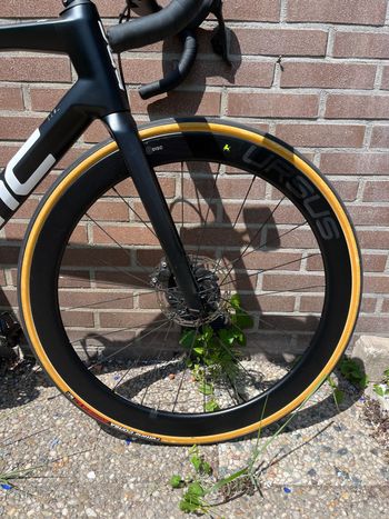 Used United Ursus C50 2022 bike