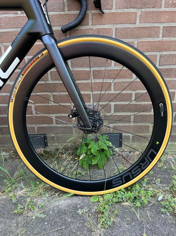 Used United Ursus C50 2022 bike — image 3 of 11