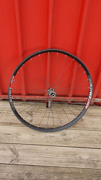Dt Swiss, XM 481 27.5