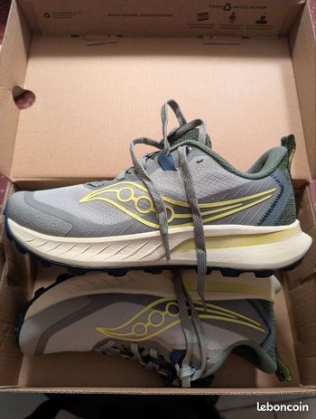 Saucony, Peregrine 15