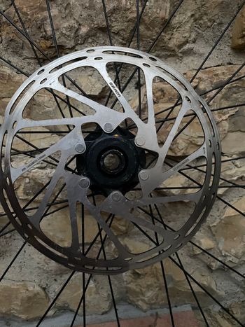Used Alexrims DP30 2024 bike — image 5 of 8
