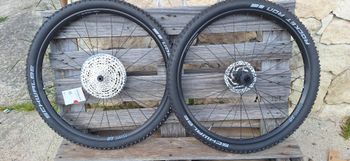 Used Dt Swiss LN XC 29" 2025 bike
