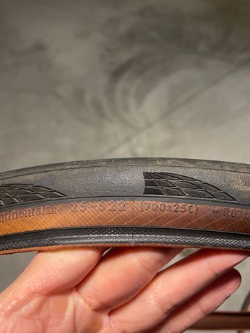 Used Continental pneumatici 2025 bike — image 4 of 6