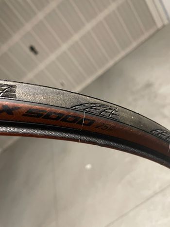 Used Continental pneumatici 2025 bike — image 3 of 6