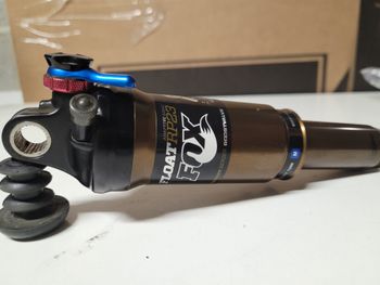 Fox, RP23 Kashima