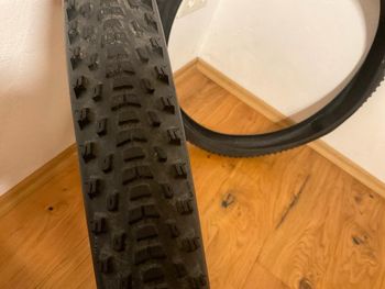 Used Continental Ruban 29x2.1 Zoll bike — image 2 of 3